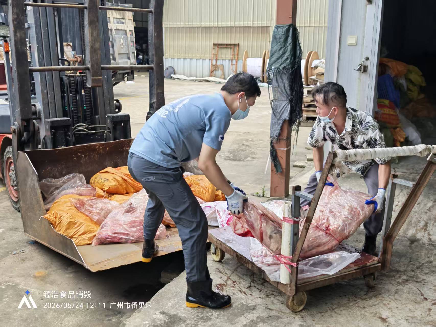 佛山南海冻品猪肉销毁，冷冻食品肉类无害化处理