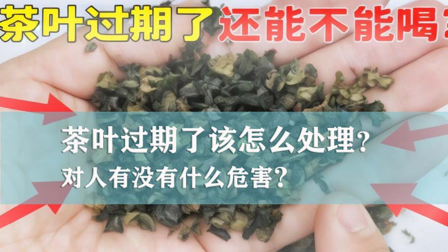 佛山过期茶叶销毁